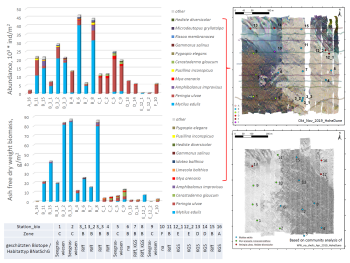 Mapping the Sea Floor