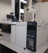 Gaschromatographie-Triple-Massenspektrometer (GC-MSMS)