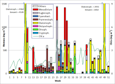 Fig. 1: Composition of the phytoplankton biomass and concentration of chlorophyll a from 6.1. to 22.12.2009 at sea-bridge Heiligendamm.