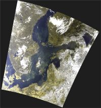 MERIS (ESA) Echtfarbenbild vom 31.07.2008 zeigt die Blaualgenentwicklung in der Ostsee