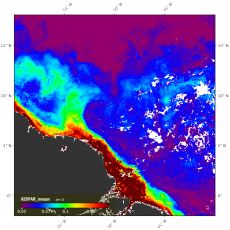 Amazon River Plume