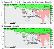 Fig. 4: Changes in dissolved oxygen content in the water body along a transect from Kiel Bight to the Eastern Gotland Basin in the central Baltic Sea, A) Situation in November 2014, B) Situation at the beginning of February 2015