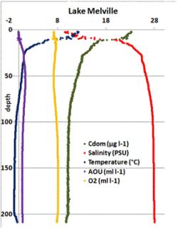 Abb. 2: Vertikale Verteilung von Sauerstoff, Salzgehalt, Temperatur und gelöstem organischen Material im Lake Melville