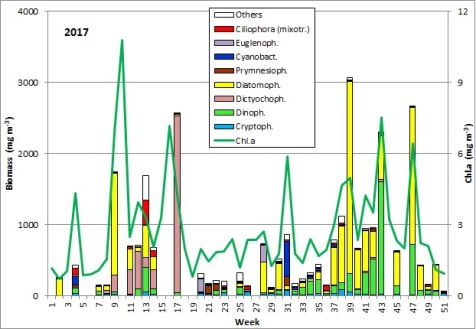 Fig. 1: Composition of the phytoplankton biomass and concentration of chlorophyll a from 3.1. to 19.12.2017 at the jetty Heiligendamm.