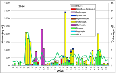 Abb. 1: Zusammensetzung der Phytoplankton-Biomasse und die Konzentration des Chlorophyll a vom 7.1. bis 16.12.2014 an der Seebrücke Heiligendamm