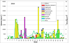 Fig. 1: Composition of the phytoplankton biomass and concentration of chlorophyll a from 7.1. to 16.12.2014 at the jetty Heiligendamm