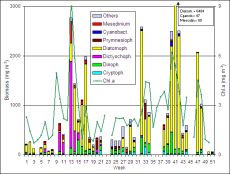 Abb. 1: Zusammensetzung der Phytoplankton-Biomasse und Konzentration des Chlorophyll a vom 2.1. bis 18.12.2007 an den Seebrücken Kühlungsborn (16.1.-29.5.07) und Heiligendamm (2.1.-9.1.07, 12.6.-18.12.07).