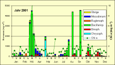 Abb. 1: Chlorophyll a –Konzentration und Zusammensetzung der Phytoplankton-Biomasse (Schöpfproben von der Wasseroberfläche) im Jahre 2001 an der Seebrücke Heiligendamm (vom 14.03. bis 17.04. und vom 10.10. bis 20.11.)