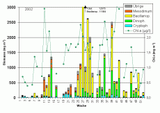 Abb. 1: Chlorophyll a –Konzentration und Zusammensetzung der Phytoplankton-Biomasse (Frischmasse) vom 2.1. bis 30.12.2002 an der Seebrücke Heiligendamm (Schöpfproben von der Wasseroberfläche).