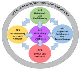 AP scheme