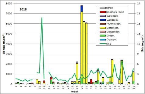 Abb. 1: Zusammensetzung der Phytoplankton-Biomasse und die Konzentration des Chlorophyll a vom 2.1. bis 18.12.2018 an der Seebrücke Heiligendamm.