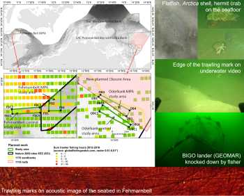 Effects of bottom trawling