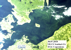 Satellite view of algae bloom