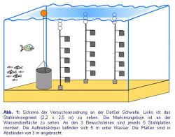 Versuchsanordnung