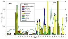 Fig. 1: Composition of the phytoplankton biomass and concentration of chlorophyll a from 6.1. to 20.12.2016 at the jetty Heiligendamm