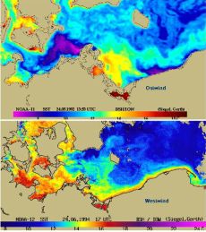 Wassertemperatur der westlichen Ostsee bei Ost- (oben) und Westwind (unten)