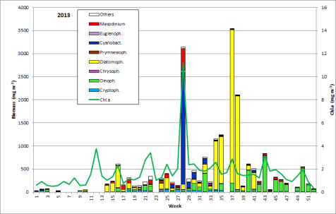 Fig. 1: Composition of the phytoplankton biomass and concentration of chlorophyll a from 2.1. to 23.12.2013 at the jetty Heiligendamm.