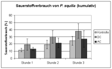 Sauerstoffverbrauch