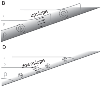 Schematic view of the turbulent bottom boundary layer