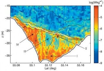 Density and turbulence structure in a channelized gravity current