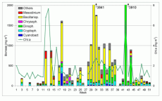 Abb. 1: Zusammensetzung der Phytoplankton-Biomasse sowie Konzentration des Chlorophyll a (Kurve) vom 5.1. bis 20.12.2005 an der Seebrücke Heiligendamm (Schöpfproben von der Wasseroberfläche).