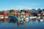 Ummannaq's Hafen