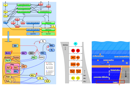 Biogeochemische und physikalische Prozesse am Sediment-Wasser-Interface und involvierte Zustandsgrößen im erweiterten ERGOM-SED (Quelle: Hagen Radtke, IOW)