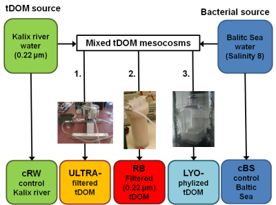 Mesocosms with modified terrigenous dissolved organic matter