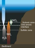 Pelagic Redoxclines