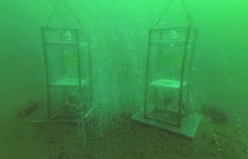 Probennahmegerät Bubble Catcher