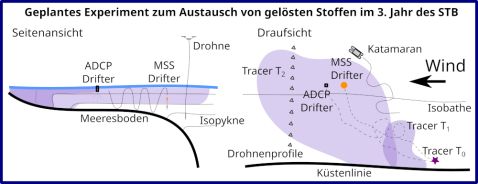 Geplantes Tracer-Experiment im 3. Jahr des STB. a) Seitenansicht, b) Draufsicht. Meeresboden/Küstenlinie in dickem Schwarz. Meeresoberfläche in blau. Tracerwolke in lila zum Injektionszeitpunkt T0 und zwei späteren Zeitpunkten T1 und T2.