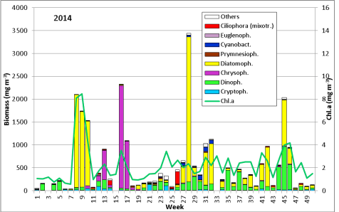 Abb. 1: Zusammensetzung der Phytoplankton-Biomasse und Konzentration des Chlorophyll a vom 2.1. bis 23.12.2013 an der Seebrücke Heiligendamm.