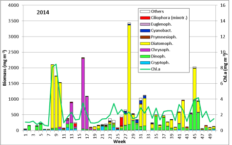 Abb. 1: Zusammensetzung der Phytoplankton-Biomasse und die Konzentration des Chlorophyll a vom 7.1. bis 16.12.2014 an der Seebrücke Heiligendamm