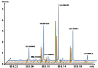 FT-ICR-MS chromatogram 