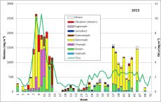 Abb. 1: Zusammensetzung der Phytoplankton-Biomasse und die Konzentration des Chlorophyll a vom 6.1. bis 22.12.2015 an der Seebrücke Heiligendamm.