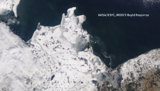 Satellitenbild Eisentwicklung