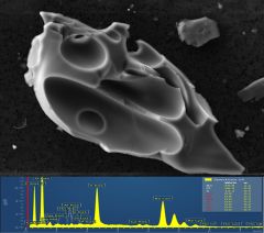 Partikelanalyse mit EDS