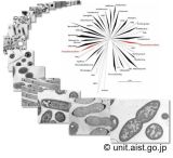 metatranscriptomics