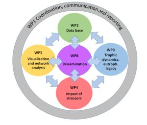 WP scheme