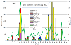 Abb. 1: Zusammensetzung der Phytoplankton-Biomasse und Konzentration des Chlorophyll a vom 4.1. bis 20.12.2011 an der Seebrücke Heiligendamm.