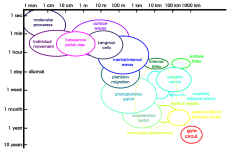 Process scales (after Dickey 2001)