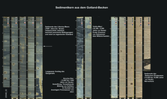 Sedimentkern aus dem Gotland-Becken