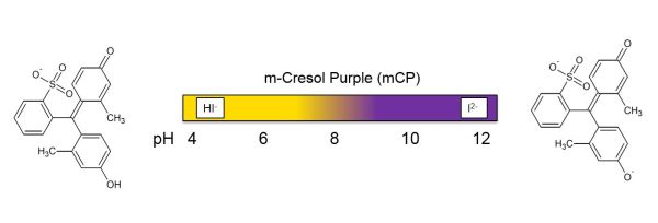 m-Cresol Purple