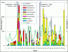 Abb. 1: Zusammensetzung der Phytoplankton-Biomasse und Konzentration des Chlorophyll a vom 2.1. bis 16.12.2008 an der Seebrücke Heiligendamm.