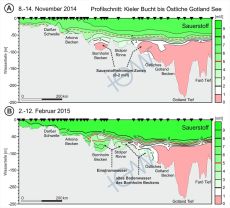 Abb. 4: Veränderung des Gehalts an gelöstem Sauerstoff im Wasserkörper entlang eines Profilschnittes ausgehend von der Kieler Bucht im Südwesten bis in das östliche Gotland, A) Situation im November 2014, B) die Situation Anfang Februar 2015.