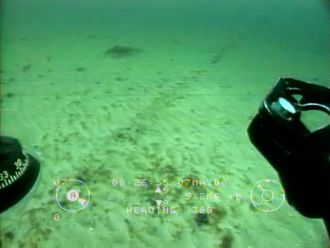 Die Überreste des versunkenen Waldes westlich vom Darss aus der Sicht einer ferngesteuerten Unterwasser-Videokamera. Das diagonale Gebilde ist ein im Sediment liegender Baumstamm, die dunkle Stelle links hinten ein Baumstumpf.