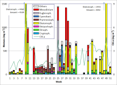 Abb. 1: Zusammensetzung der Phytoplankton-Biomasse und Konzentration des Chlorophyll a vom 6.1. bis 22.12.2009 an der Seebrücke Heiligendamm.