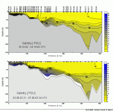 Vertikalschnitt durch die Ostsee - Fehmarn Belt bis Gotlandsee - Gemessene Größe: Salzgehalt - Oktober 2002 und Mai 2003