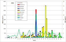 Fig. 1: Composition of the phytoplankton biomass and concentration of chlorophyll a from 2.1. to 23.12.2013 at the jetty Heiligendamm.