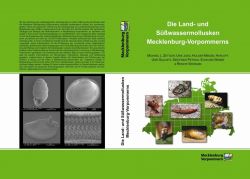 Land- und Süßwassermollusken Mecklenburg-Vorpommerns